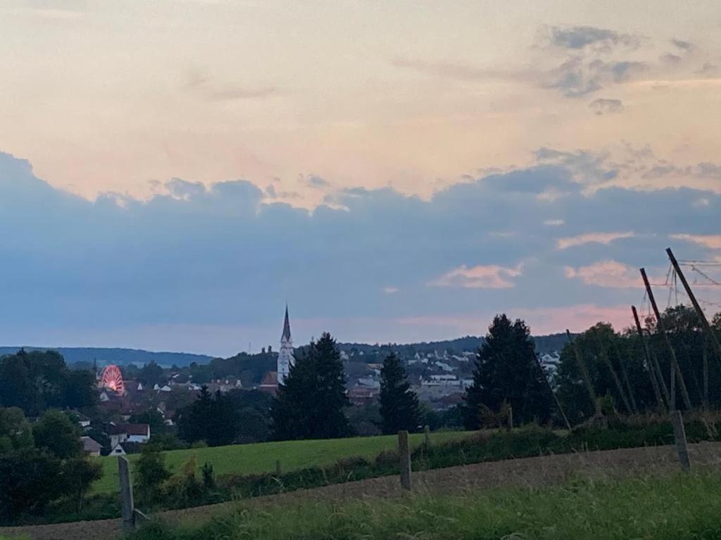 Oekohotel Aus Holz Alea Eco Pfaffenhofen an der Ilm Kültér fotó